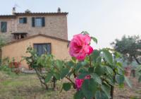 Umbrian Farmhouse Lake and Olive Grove View - Chambres d'hôtes Panicale