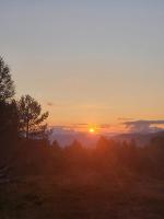 Gullingen Cabin with views - Bed and Breakfast Bergjord