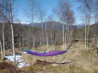 Gullingen Cabin with views - B&B Bergjord