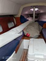 Mobile Home
