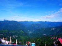 Greenview - B&B Kurseong