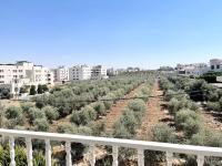 Al-Banyat , Al-Hurriyah street Apartment - B&B