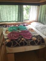 Mobile Home