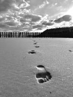 Le secret d'Opale - Ferienwohnung Wissant