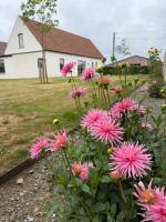 The Farm Cottage - Bed and Breakfast Waregem