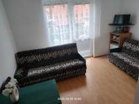 Vierbettzimmer mit Terrasse