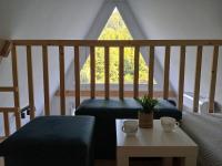 Vila SVITAC Banja Vrujci - B&B Mionica