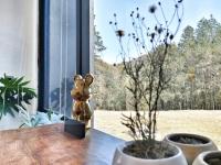 Hermoso y cómodo Loft Campestre - B&B Omitlán de Juárez