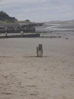 Pet Haven Humberston Fitties Cleethropes Lincolnshire - Chambres d’hôtes Humberston