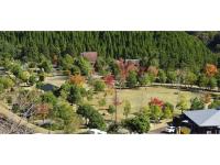 Ume Camp Mura - Vacation STAY 88860v - B&B Saiki