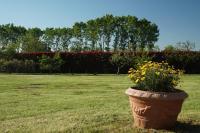 Cascina del Gelso - b&b - Ferienwohnung Santena