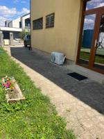 Forest & Lake House - B&B