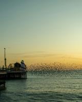 Top Flat - Bed and Breakfast Portsmouth