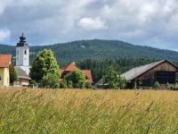 Bio-Bauernhof Wilfling - Ferienwohnung Miesenbach bei Birkfeld