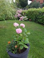 Wintergarten - Bed and Breakfast Perneck