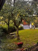 Apartma Pr'Csrlu - Bed and Breakfast Rut