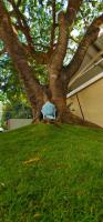 Pepperpeak homestay - B&B