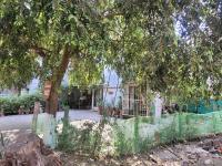 Ivy's Home Stay - B&B Bhopal