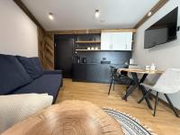 One-Bedroom Deluxe Apartment
