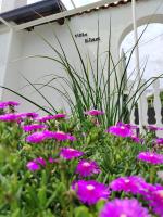 Kuća za odmor Vila Elza - B&B Fiume