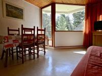 Studio cabine au pied des pistes, balcon sud-est, proche commerces - FR-1-549-61 - B&B Chamrousse