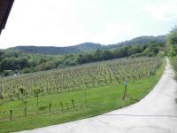 Aux Vignes - Chambres d’hôtes Rott