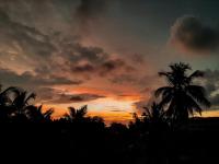 The Kingfisher Hikkaduwa - B&B Hikkaduwa