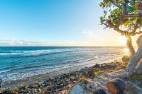 La Case Dann Tan Lontan - Chambres d’hôtes Saint-Gilles les Bains