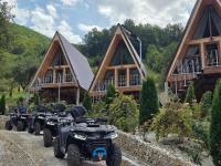 A-Frame Bella - B&B Zăvoi