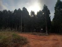 Simply Rooted Cottage - B&B Piet Retief