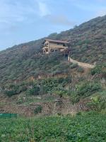 Casa Amarilla de Playa Benijo - B&B Almáciga