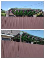 Delfinului Retreat - B&B Ovidiu