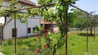 Vedra Guest House - Bed and Breakfast