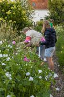 Zee-van-Tijd - B&B Oudenburg