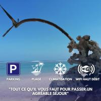 Les zoizeaux- T2 à 100m de la plage de l'ermitage - B&B