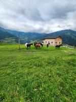 Lipphütte Top Lage mit traumhafter Aussicht - B&B Rauris