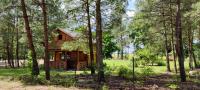 Klimatyzowany Domek z Sauną w lesie z posesją na wyłączność Mazury Prażmowo - Chambres d'hôtes Prażmowo