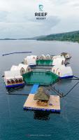Reef Resort - Samal Island View Unit C3 - Bed and Breakfast Kaputian