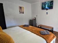 Habitación de lujo - 1 cama extragrande