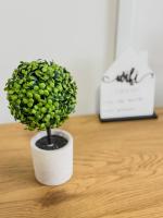 Stan Setaliste - B&B Brčko