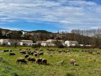 Le 27 Grimaldi - T2 de 50m2 - B&B La Roque-d'Anthéron