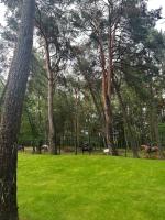 Blue Wave - B&B Leba