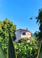 Casa di Laura in Chianti - large & charming house (host 7 people) - B&B Moncioni
