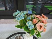 Appartamento con Vista e Balcone