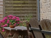 Charmant gîte en Normandie avec jardin et activités à sensations - FR-1-410-300 - Chambres d'hôtes Arçonnay