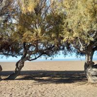 Renacer - B&B Playa Unión