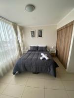 Home Lucena II - Ferienwohnung Temuco