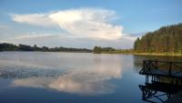 Lake House Villa pas Eugenija - B&B Migiškiai