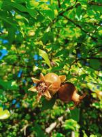 CASA Vacanze Brezza Marina Piras Maria Cristiana - B&B Quartu Sant'Elena