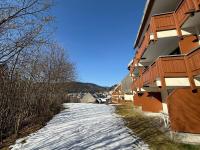 Black Forest Apartment with garden terrace - Bed and Breakfast Todtmoos